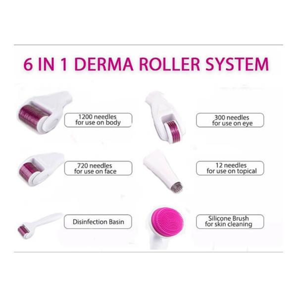 Derma Rolling System and Needle Material Stainless Steel / Titanium 6 In 1 Derma Roller