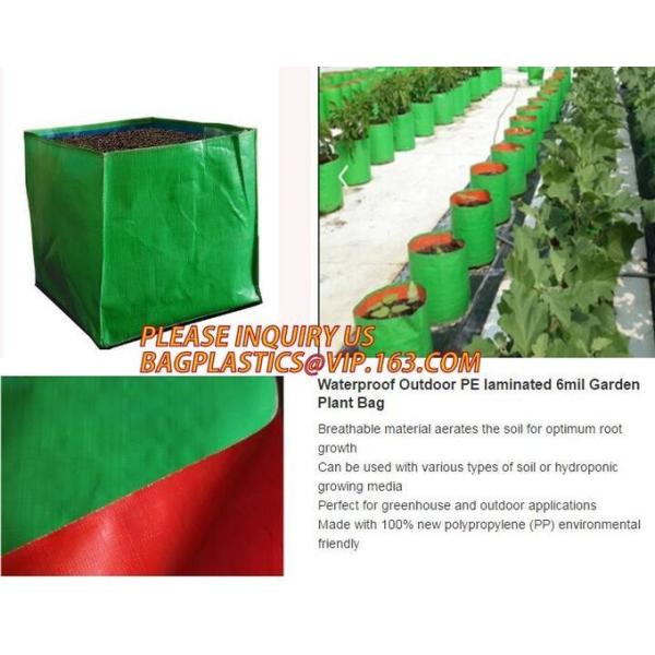 Smart Grow Bags For Potato/Plant Container/Aeration Fabric Pots With Handles Fabric Plants Pots with Handles, Indoor