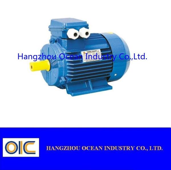 NEMA Standard High Efficiency Three-phase Induction Motors 143T 145T 182T 184T 213T 215T 254T 256T 284TS 286TS 324TS