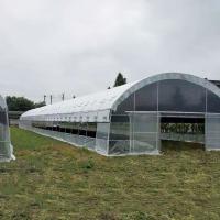 Serre de privation de lumière par éteinte personnalisée avec système d'ombrage automatisé pour champignons