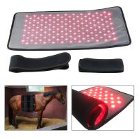 Cama VERMELHA 660nm 850nm da terapia da luz do diodo emissor de luz do OEM infravermelha para o corpo