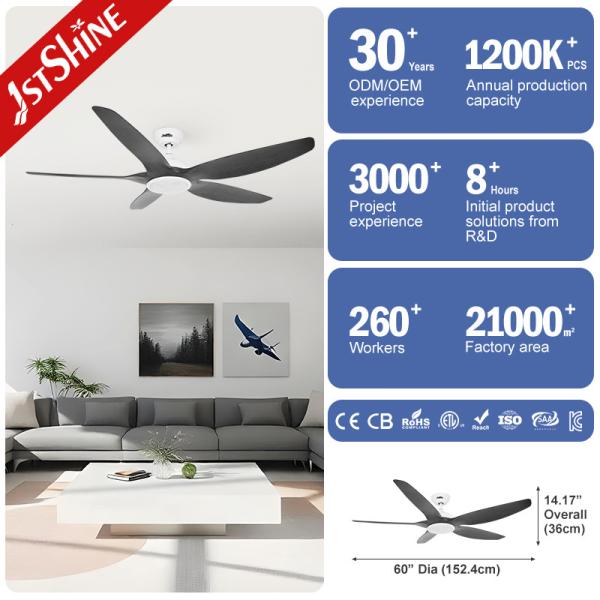 Indoor Room 60-inch LED Ceiling Fan with 5 ABS Plastic Blades and Energy Efficiency
