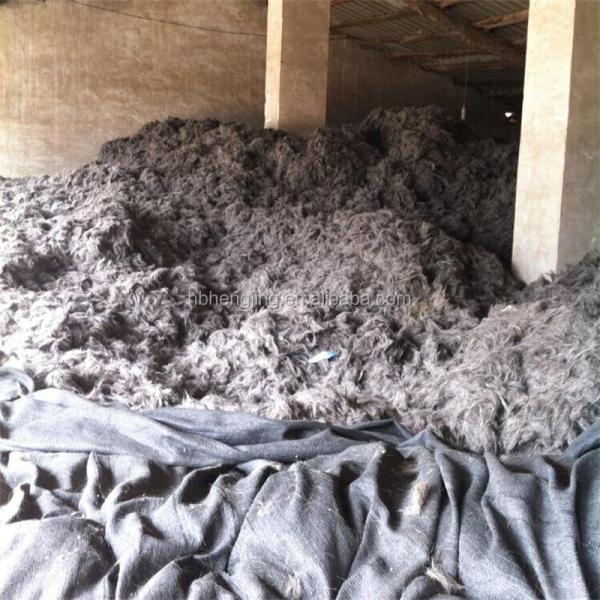 Scoured Clipped Goat Hair Goat Wool