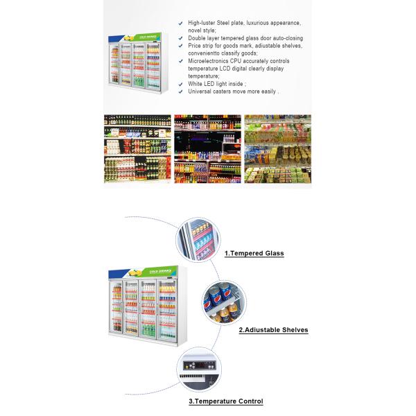 LED-Lit Upright Beverage Display Cooler Supermarket Equipment Climate Cooling Cold Storage Made Glass Material Refrigeration