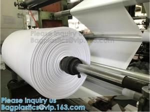 YANTAI BAGEASE BIODEGRADABLE COMPOSTABLE PRODUCTS CO.,LTD.