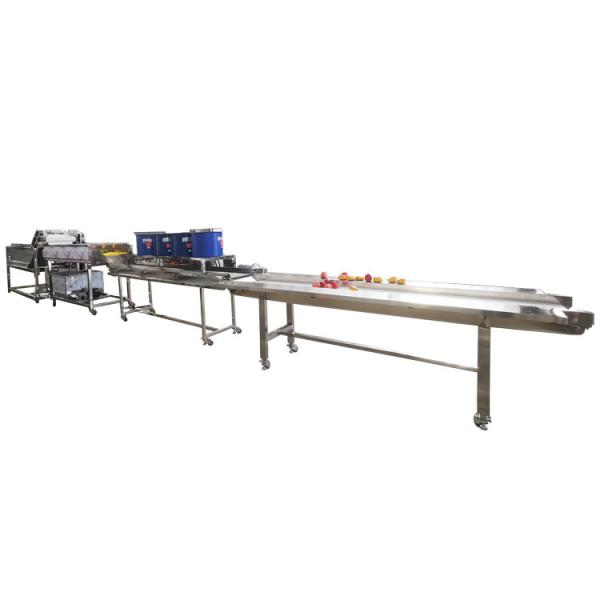 Hot selling Vegetable Cleaning Electrolysis Machine For Sale by Huafood