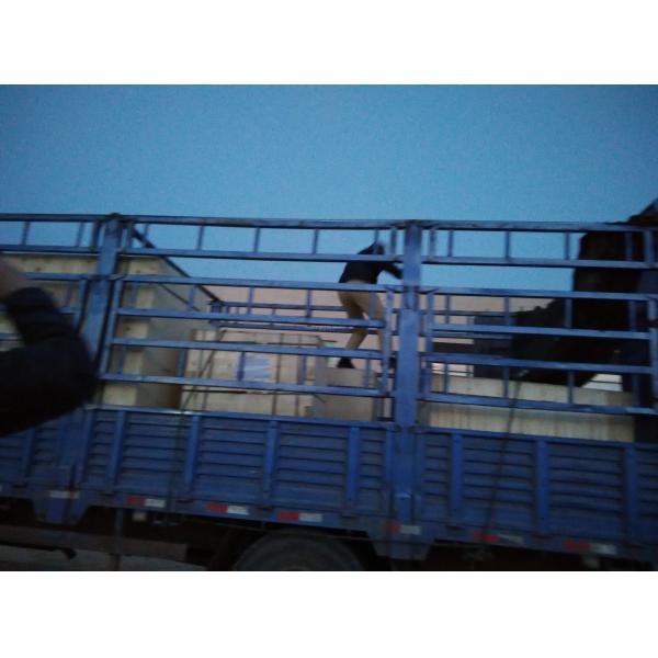 Fully Automatic KR-BZJ-B Medical Packing Machine for Medical Consumables Production