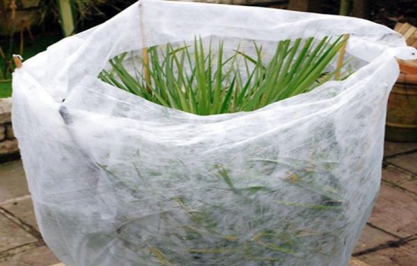 Controle de ervas daninhas tratado UV não tecido impermeável do rolo 4% da tela da agricultura