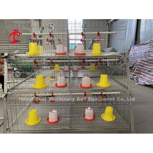 Galvanized A Or H Type Broiler Chicken Cage For One Day Old To Adult Chicken Doris