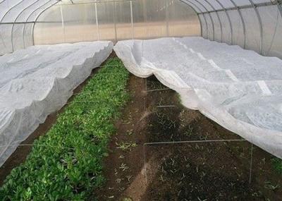 Polypropylene Agriculture Non Woven Fabric Anti Aging Environmental Health