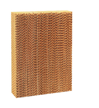 птицеферма системы пусковой площадки цыпленка 200mm охлаждая