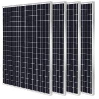 Módulo Solar Monocristalino Íntegro 100W 12V Painel Solar Íntegro