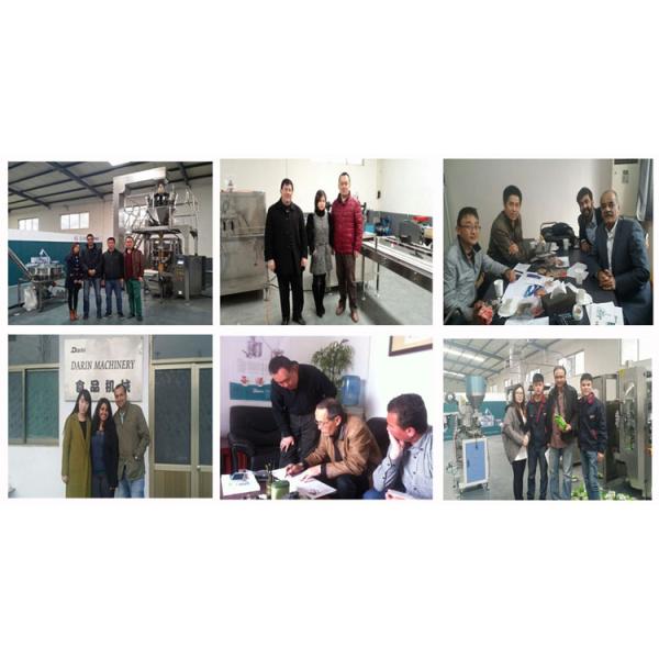 Linha de processamento automática completa máquina do parafuso do dobro da comida de gato do alimento para cães