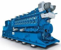 Générateur de moteur à biogaz TCG2020 50 Hz/60 Hz Générateur à biogaz