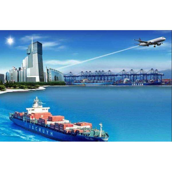 Груз дела Dropshipping одеяния B2b международный к Германии Франции Европе FCL