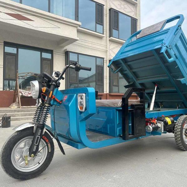 Three Wheeled Electric Tricycle With Canopy 30-50Km/H 90KM
