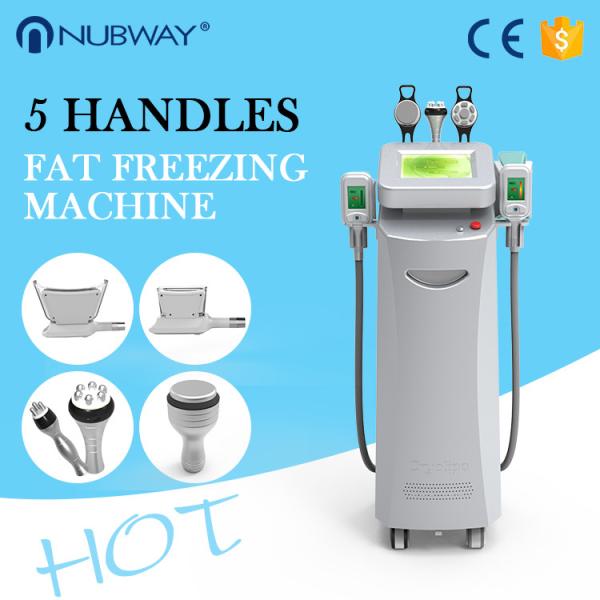 Top Sale Cryolipolysis Machine /Cryolipolysis Fat Freezing Machine /Cryolipolysis Slimming Machine