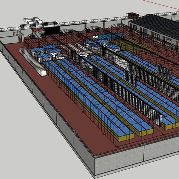 Système commercial de culture hydroponique des poissons Kit de serre aquaponique pour poissons et légumes