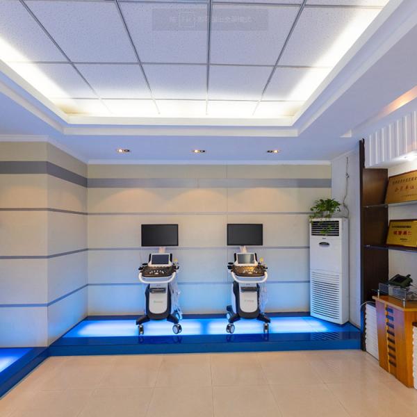 Ultrasonic Medical Hospital Equipments Digital B Mode Veterinary RKU10 Ultrasound