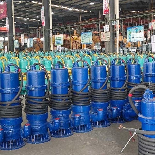 1.5kw-7.5kw Versatile Portable Submersible Pump For Drainage Irrigation  And Emergency Water Extraction