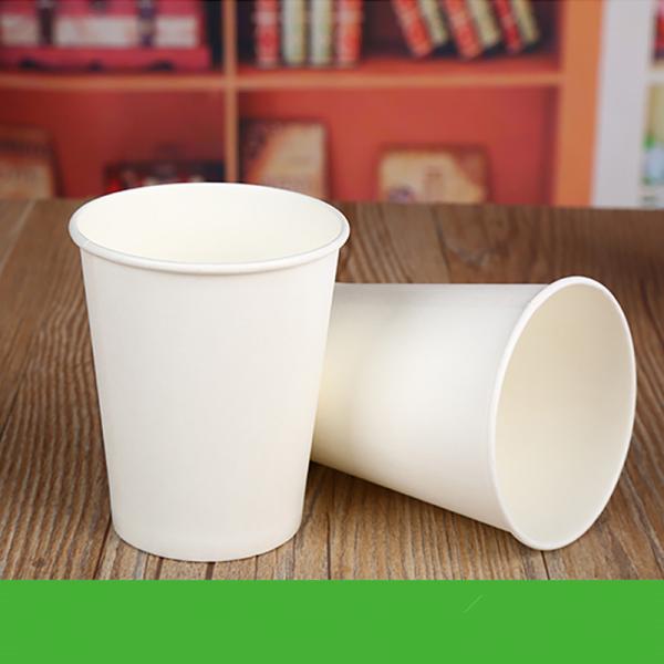 Pure White 4 Oz Paper Coffee Cups With Lids For Hot Drinks
