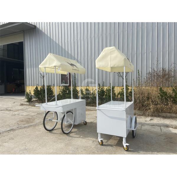 Small Portable Electric cart Cold Plate Push Umbrella Outdoor Mini Wheel Supermarket  Cart