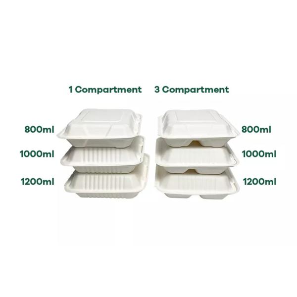 8in 9in Biodegradable Sugarcane Bagasse Clamshell Freezable Fast Food Container Tableware