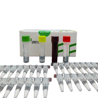 Staphylococcus Aureus PCR Kit de detecção de patógenos para detector de fluorescência isotérmica