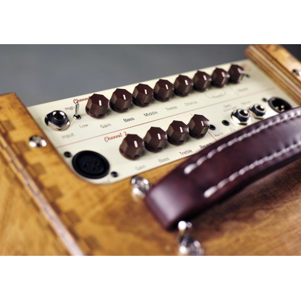 Rolands AC-60s Clone Ss Acoustic Amplifier with Natural Birch Enclosure