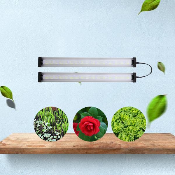 T5 Tabletop Grow Lights