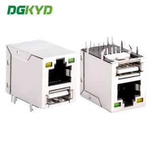 RJ45 with USB 2.0 socket, shielded with light, without filter DGKYDRU121188AB1WD
