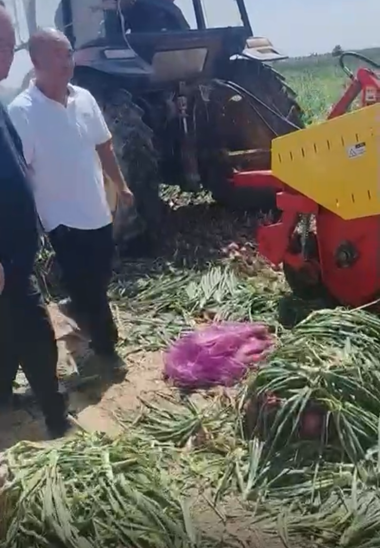 onion harvesting machine harvester