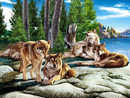 0.6mm PET+157g Coated Paper 3D Lenticular Pictures / 3D Lenticular Wall Art