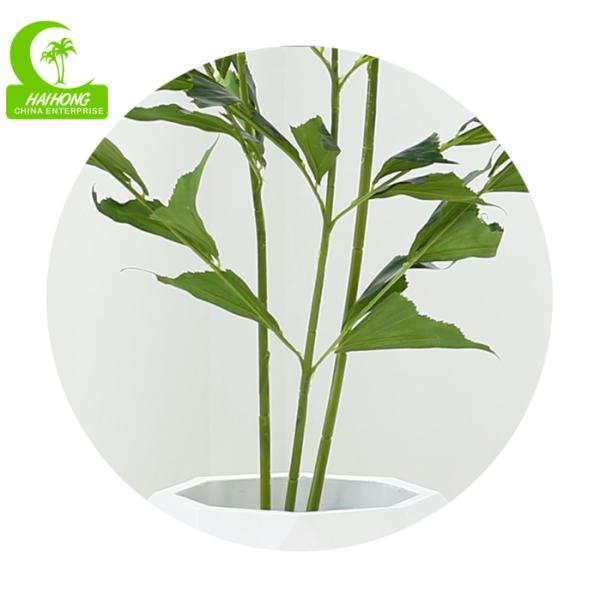 Nenhuma árvore artificial de seda de nutrição