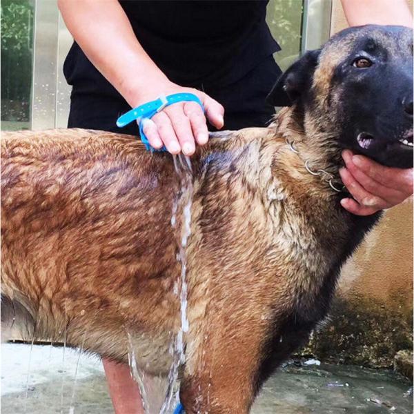 ODM Silicone PET Cleaning Brush Self Cleaning Cat Grooming Brush For Dogs