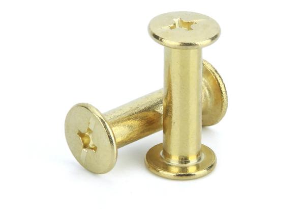 Yellow Brass Big Flat Head Butt Screws  Book Photo Chiago Screws  Chicago Binding Screws