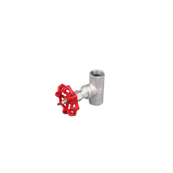 Normal Temperature Globe Valve Supply 40mm Pn16 Thread with Customization Option