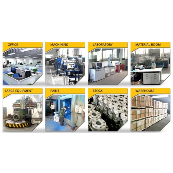 Seamless Stainless Steel Bend Pipe 45 Degree 60 Degree 90 Degree