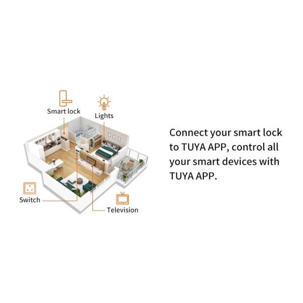 Password 35mm-50mm Tuya Smart Electronic Lock For Home Office
