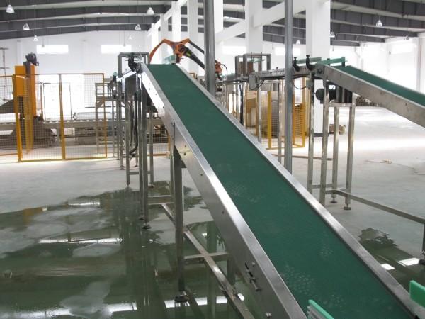 Stainless Steel Belt Conveyor