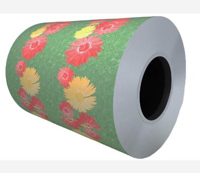 DX51D Prepainted a cor de RAL revestiu a bobina de aço PPGI veste - resistente