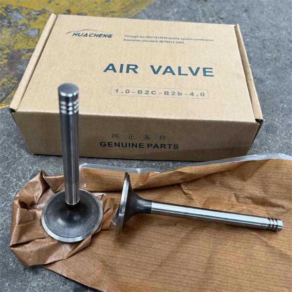 12159606 12159608 Впускной клапан Выпускный клапан Deutz TD226B-3D Части двигателя Weichai