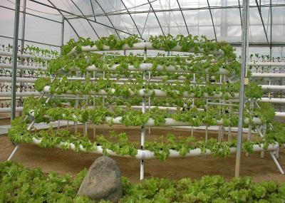 Easy Maintenance Nutrient Film Technique System With Strong Adaptability