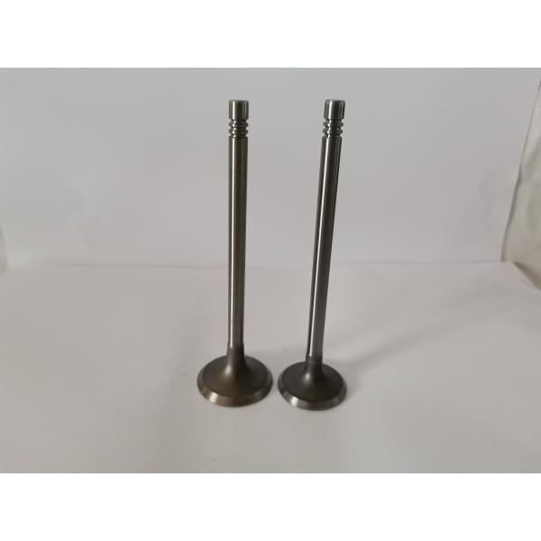 3488-AS - VALVULAS DE ADMISSAO - AUDI A4 1.8L 20V/V6 30V