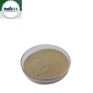 Protease Enzyme