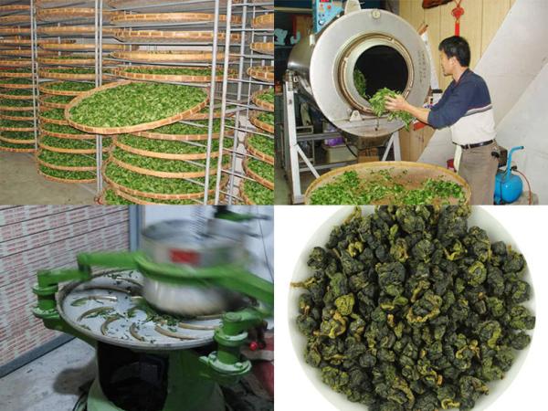 China Newest Tieguanyin Oolong Tea Fujian Anxi Organic Tieguanyin Tea Vacuum Packed Oolong Tea