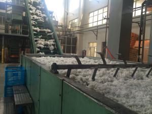 Hangzhou Yaoyang Technology Co.,Ltd