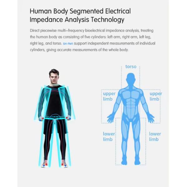 Intelligent Body Composition Analyzer Fat Analysis Machine by Bioelectrical Impedance