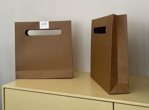 Luxury Custom Paper Shopping Bags With Logo Thick Boutique Gift Bags For Clothing Jewelry Packaging