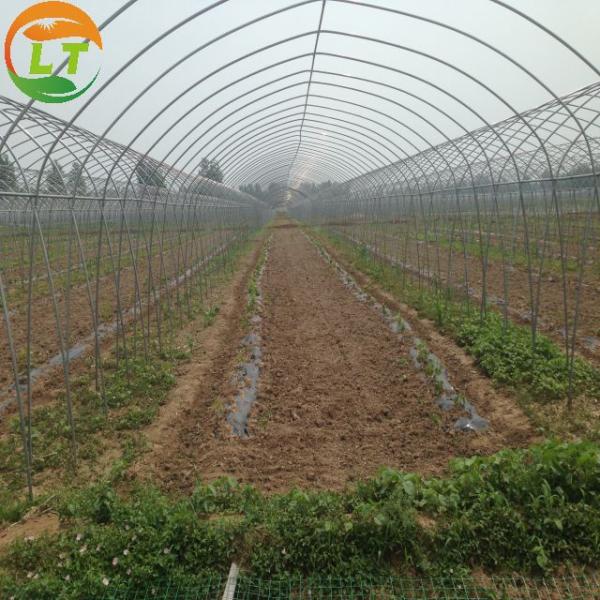 Single Layer Chinese Greenhouse Frame for Compression Resistant and Customizable Design